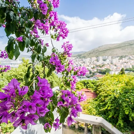 Luka * دوبروفينك